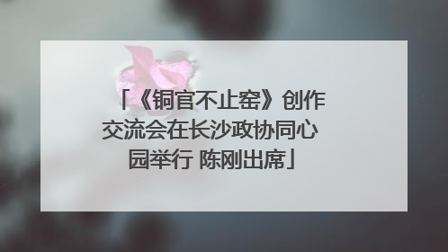 《铜官不止窑》创作交流会在长沙政协同心园举行 陈刚出席