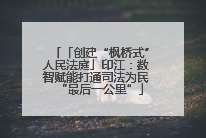 「创建“枫桥式”人民法庭」印江：数智赋能打通司法为民“最后一公里”