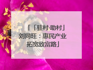 「驻村·助村」刘同旺：惠民产业拓宽致富路