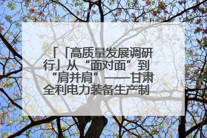 「高质量发展调研行」从“面对面”到“肩并肩”——甘肃全利电力装备生产制造项目一线见闻