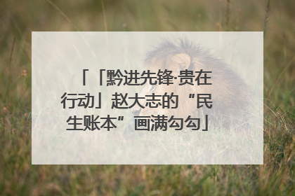 「黔进先锋·贵在行动」赵大志的“民生账本”画满勾勾