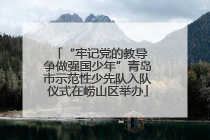 “牢记党的教导 争做强国少年”青岛市示范性少先队入队仪式在崂山区举办