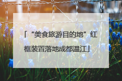 “美食旅游目的地”红框装置落地成都温江