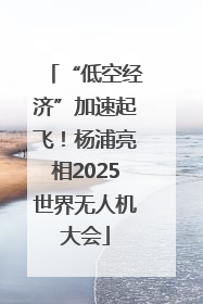 “低空经济”加速起飞！杨浦亮相2025世界无人机大会