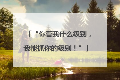 “你管我什么级别，我能抓你的级别！”