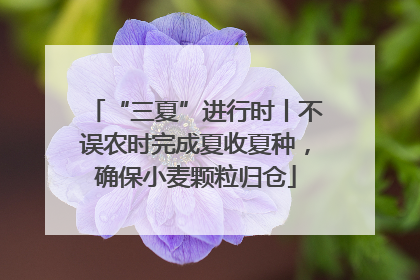 “三夏”进行时丨不误农时完成夏收夏种，确保小麦颗粒归仓
