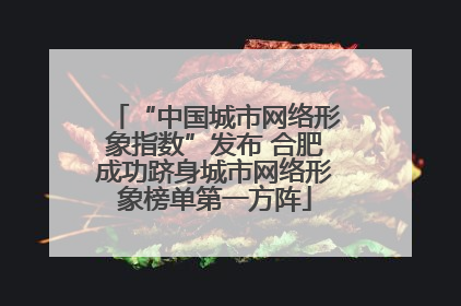“中国城市网络形象指数”发布 合肥成功跻身城市网络形象榜单第一方阵