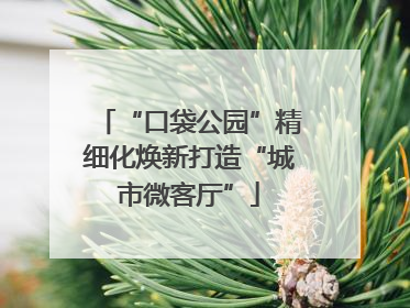 “口袋公园”精细化焕新打造“城市微客厅”