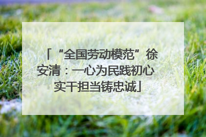 “全国劳动模范”徐安清：一心为民践初心 实干担当铸忠诚