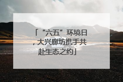 “六五”环境日，大兴廊坊携手共赴生态之约