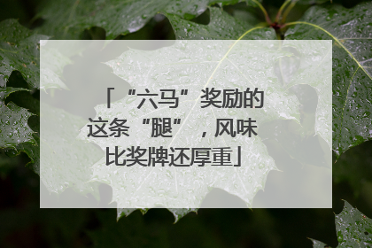“六马”奖励的这条“腿”，风味比奖牌还厚重