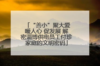 “善小”聚大爱 暖人心 促发展 解密淄博供电员工付珍家庭的文明密码
