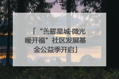 “善耀星城·微光暖开福”社区发展基金公益季开启