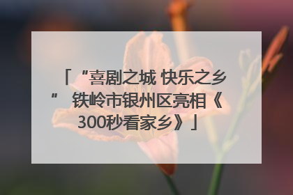 “喜剧之城 快乐之乡” 铁岭市银州区亮相《300秒看家乡》