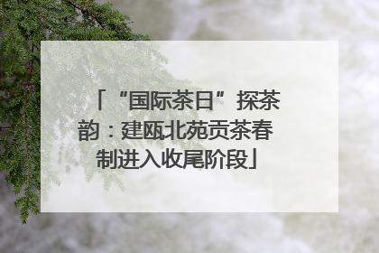 “国际茶日”探茶韵：建瓯北苑贡茶春制进入收尾阶段