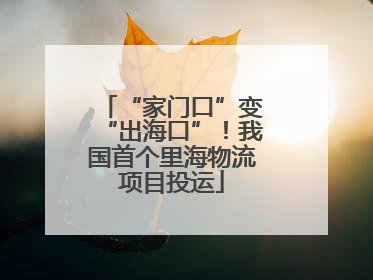 “家门口”变“出海口”！我国首个里海物流项目投运
