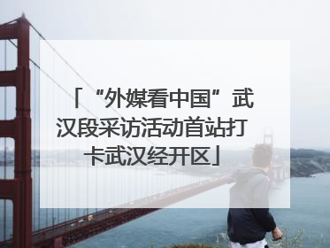 “外媒看中国”武汉段采访活动首站打卡武汉经开区
