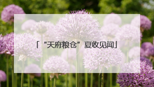 “天府粮仓”夏收见闻