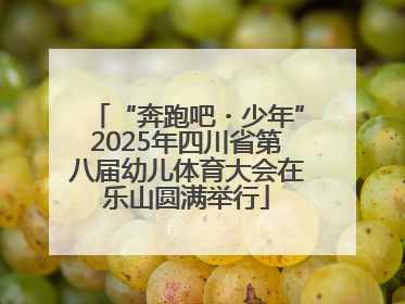 “奔跑吧・少年”2025年四川省第八届幼儿体育大会在乐山圆满举行