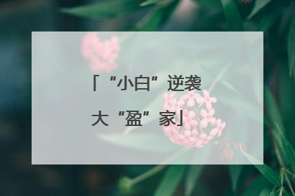“小白”逆袭大“盈”家