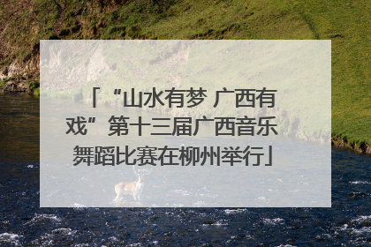 “山水有梦 广西有戏”第十三届广西音乐舞蹈比赛在柳州举行