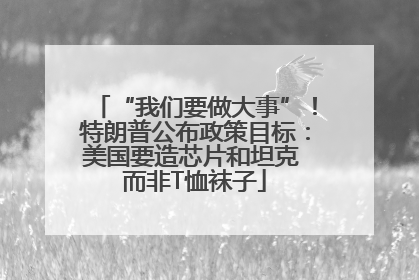 “我们要做大事”！特朗普公布政策目标：美国要造芯片和坦克 而非T恤袜子