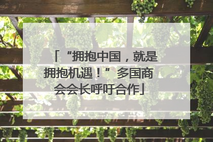 “拥抱中国，就是拥抱机遇！”多国商会会长呼吁合作