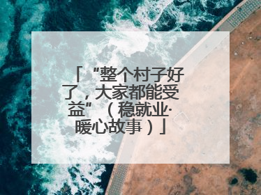 “整个村子好了，大家都能受益”（稳就业·暖心故事）