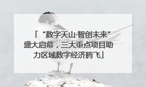 “数字天山·智创未来”盛大启幕，三大重点项目助力区域数字经济腾飞