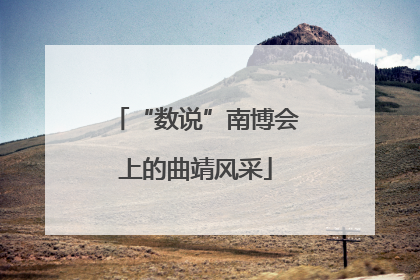 “数说”南博会上的曲靖风采
