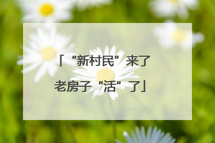 “新村民”来了 老房子“活”了