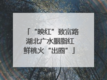 “映红”致富路 湖北广水胭脂红鲜桃火“出圈”