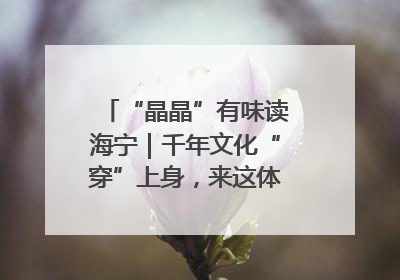 “晶晶”有味读海宁｜千年文化“穿”上身，来这体验非遗旅拍！