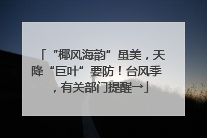 “椰风海韵”虽美，天降“巨叶”要防！台风季，有关部门提醒→