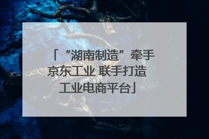 “湖南制造”牵手京东工业 联手打造工业电商平台