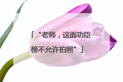 “老师，这面功臣榜不允许拍照”
