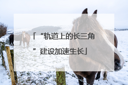“轨道上的长三角”建设加速生长