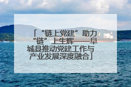 “链上党建”助力“链”上生辉——阜城县推动党建工作与产业发展深度融合