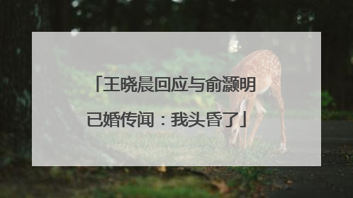 王晓晨回应与俞灏明已婚传闻：我头昏了