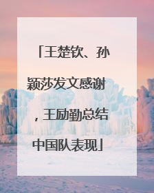 王楚钦、孙颖莎发文感谢，王励勤总结中国队表现