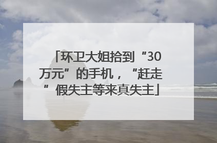 环卫大姐拾到“30万元”的手机，“赶走”假失主等来真失主