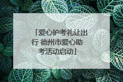 爱心护考礼让出行 德州市爱心助考活动启动