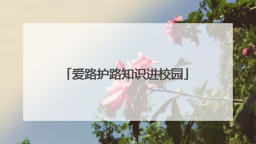 爱路护路知识进校园