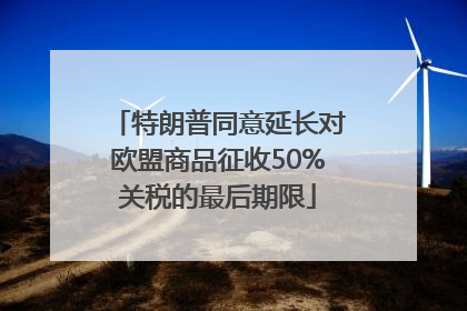 特朗普同意延长对欧盟商品征收50%关税的最后期限