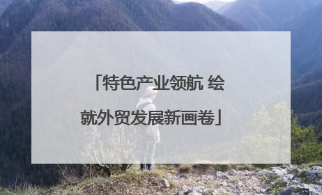特色产业领航 绘就外贸发展新画卷