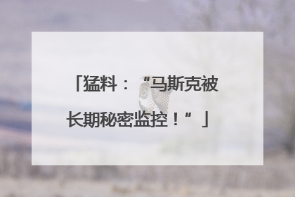 猛料：“马斯克被长期秘密监控！”