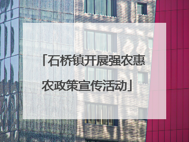 石桥镇开展强农惠农政策宣传活动