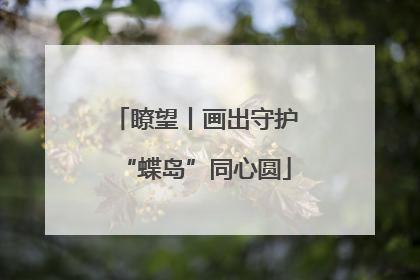 瞭望丨画出守护“蝶岛”同心圆