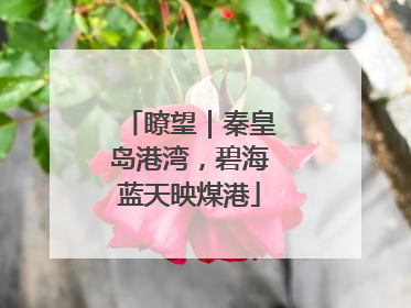 瞭望｜秦皇岛港湾，碧海蓝天映煤港