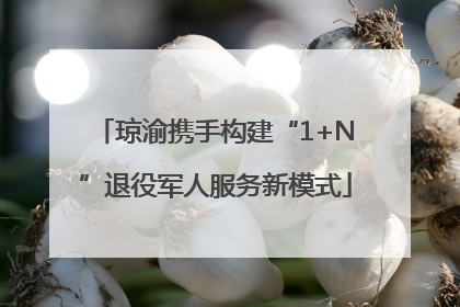 琼渝携手构建“1+N”退役军人服务新模式